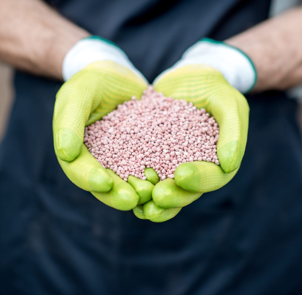 Farmer's hands in the green working gloves holding mineral fertilizers, close-up view